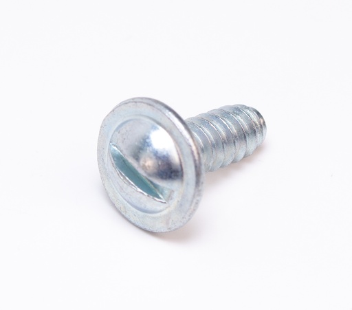 [H-133] License Plate Screw (Sold as Each)